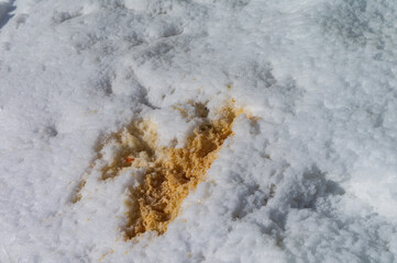 Vomit on the snow