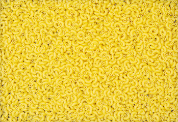Italian pasta (Gomiti Rigati) on white background