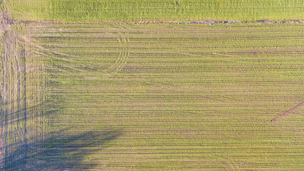 Arial view geometric farming fields. High quality photo