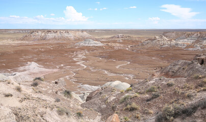 Petrified Forest National Park in Arizona, USA