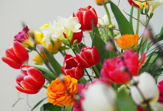 Blumen Fr&uuml;hling