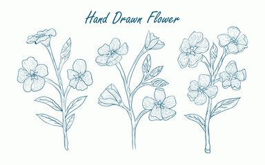 hand drawn flowers Illustration