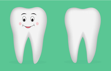Realistic tooth illustration.  The concept for the personage of clinics, dentists, posters.