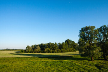 Landscape at Amerongse Berg