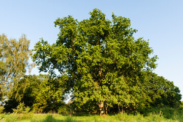 De Meinweg, Limburg, De Meinweg, Netherlands