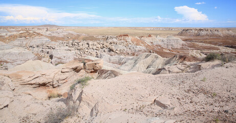 Petrified Forest National Park in Arizona, USA