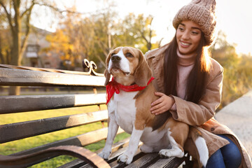 Woman walking her cute Beagle dog in autumn park