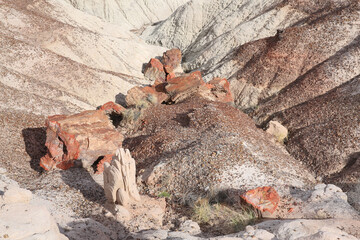 Petrified Forest National Park in Arizona, USA