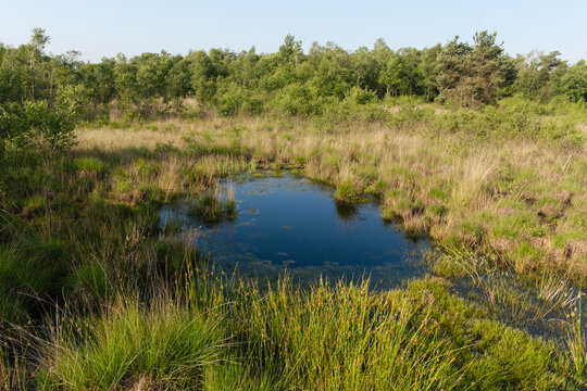 Nationaal Park De Groote Peel, National Park Groote Peel