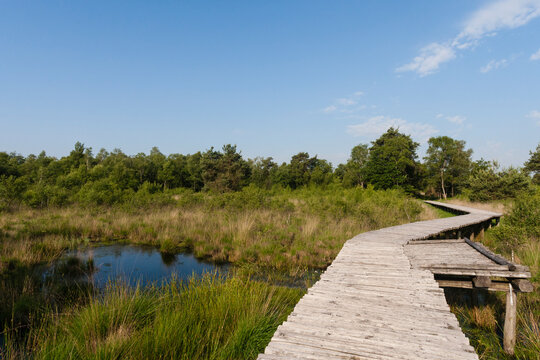 Nationaal Park De Groote Peel, National Park Groote Peel