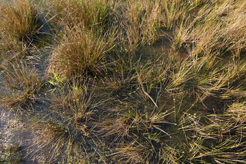 Nationaal Park De Groote Peel, National Park Groote Peel