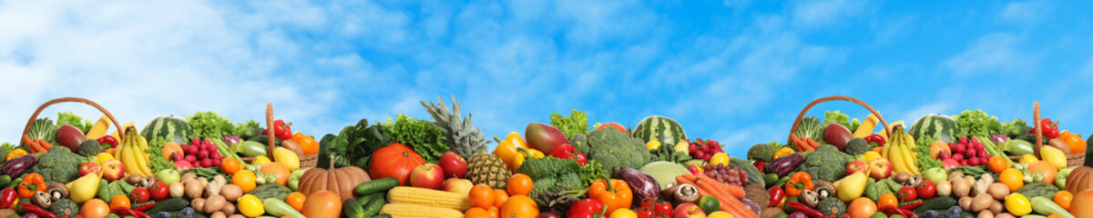 Assortment of fresh organic fruits and vegetables outdoors. Banner design