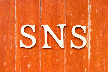 Alphabet letter in word SNS (abbreviation of Social Networking Site or sorry not sorry) on old red...