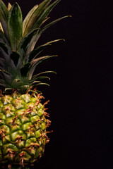 Green pineapple growing in a pot