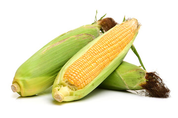 corn on the cob