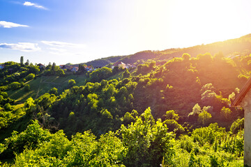 Picturesque green hills and vineyards of Plesivica sunset view