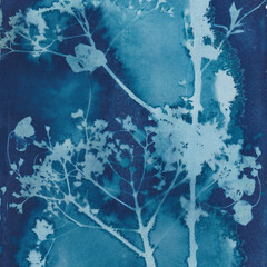 Cyanotype sunprint of wildflowers, square, blues
