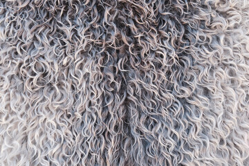 Texture of beige and brown sheepskin.