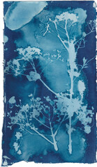 Wildflowers cyanotype, sunprint, blueprint, garden flowers printed with sun