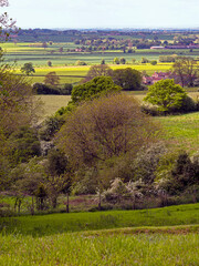 Beautiful view over trees and fields from Terrington in the Howardian Hills, North Yorkshire, England