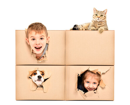 Funny Happy Kids And Pets Looking Out Of A Torn Hole In A Box Isolated On White Background