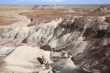 Petrified Forest National Park in Arizona, USA