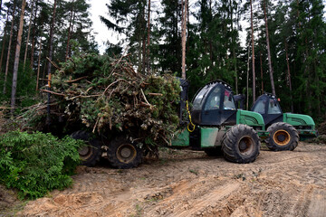 Crane forwarder machines at during clearing of a plantation. Wheeled harvester transports raw timber from the felling site out to a road for collection by a truck. Harvesters, forest Logging machines