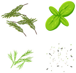 Set of herb for food decoration