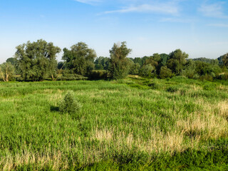Fototapeta na wymiar Landscape at Ooijpolder