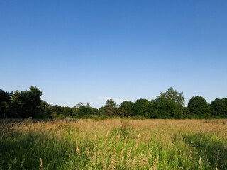 Fototapeta premium De Meinweg, Limburg, De Meinweg, Netherlands