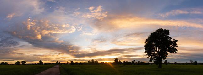 Orange sky atmosphere With the light of the sunset over the rice fields in Thailand