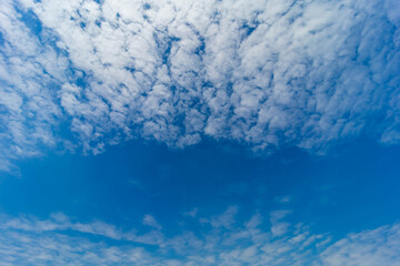 Obraz premium Beautiful white clouds covering thinly spread the sky on the blue of the sky background.