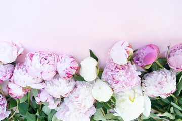 Fresh peony flowers