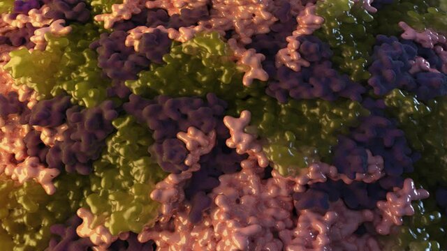 Animation of the virus causing the Polio. Microscopic view. Public Domain element from U.S. Centers for Disease Control and Prevention
