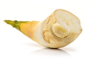 Bamboo shoot on the white background 