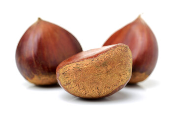 Sweet chestnut on white background