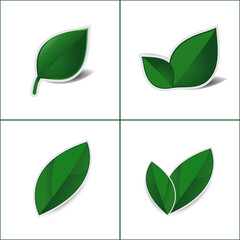 Green leaf sticker on white background