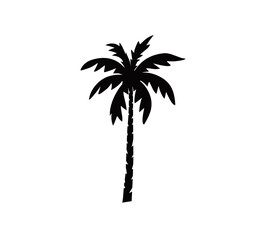 coconut tree icon, palm tree vector silhouette with black and white