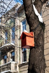 Red birdhouse on a tree. Winter in the city. 