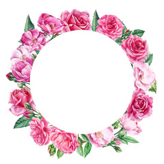 Floral Greeting Cards with Place for Text. Roses, buds on a white background, watercolor painting