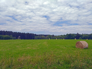 Summer day scenery in the czech republic countryside