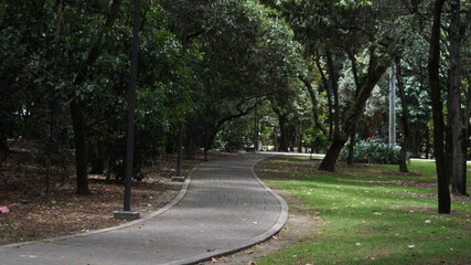 Fototapeta premium road in the park