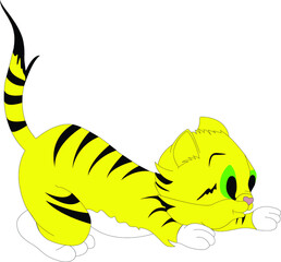 little lion cub vector image