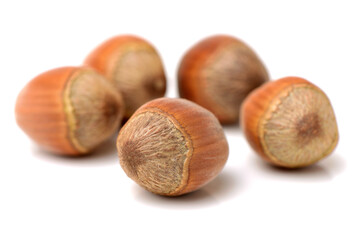hazelnuts isolated on white