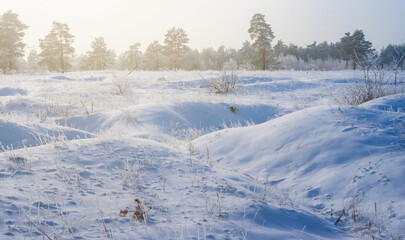 winter plain covered by a snow, seasonal outdoor background