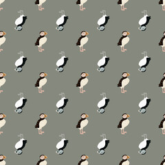 Icelandic zoo nature seamless pattern with hand drawn black and white colored puffin print. Grey background.