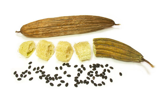Natural loofah sponges. Dry luffa and seeds. Zero waste, plastic free, eco-friendly concept. Medicinal plant and healthy food. 