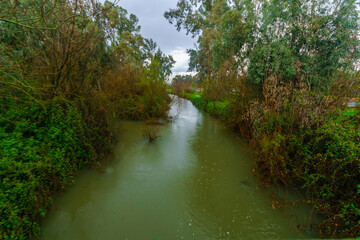 Fototapeta na wymiar Dan stream, a source of the Jordan River