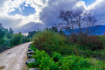 Footpath and clouds along the Dan stream
