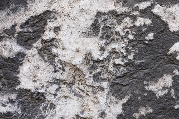 Stone surface texture close up.